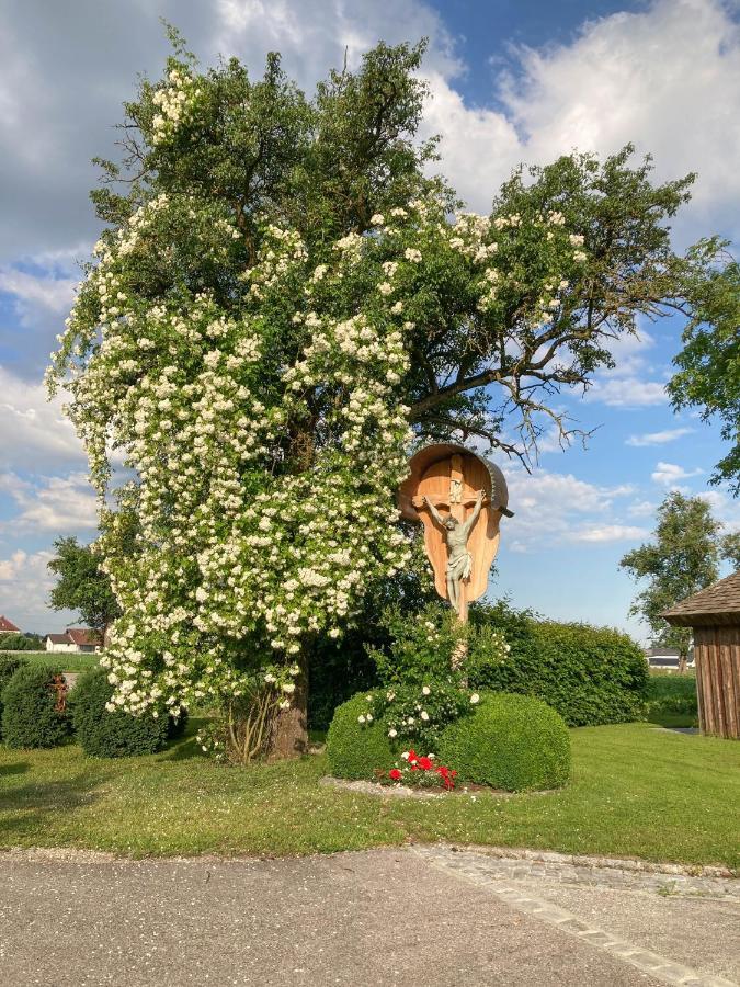 Fruehstueckspension Herzog Zu Laah Ansfelden Exterior photo