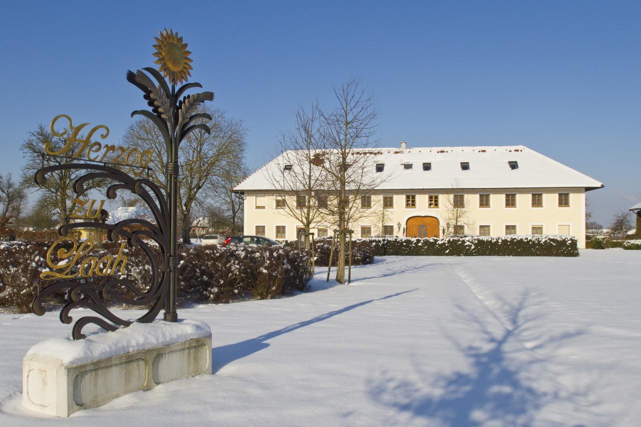 Fruehstueckspension Herzog Zu Laah Ansfelden Exterior photo